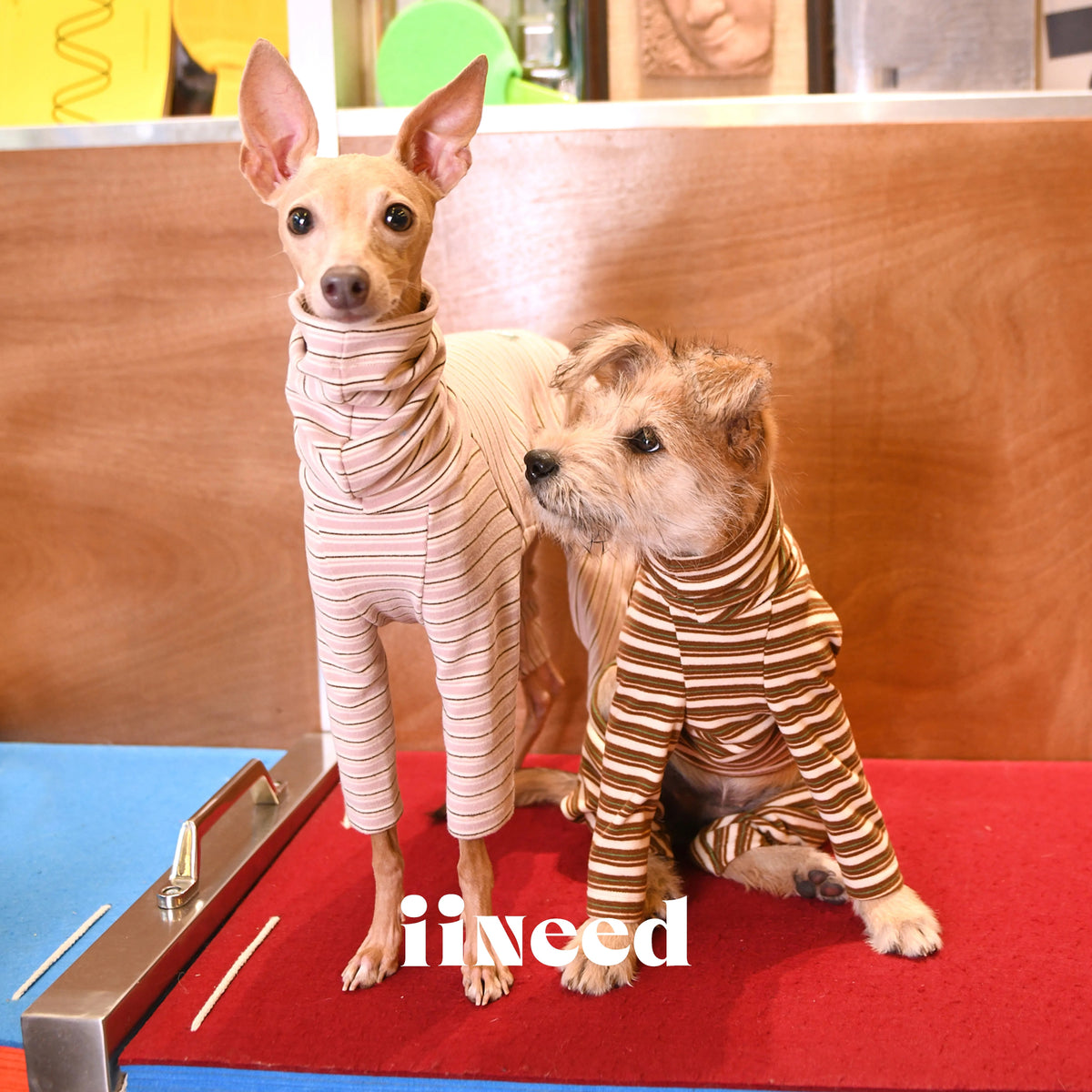 Striped Dog 4-Leg Base Layer