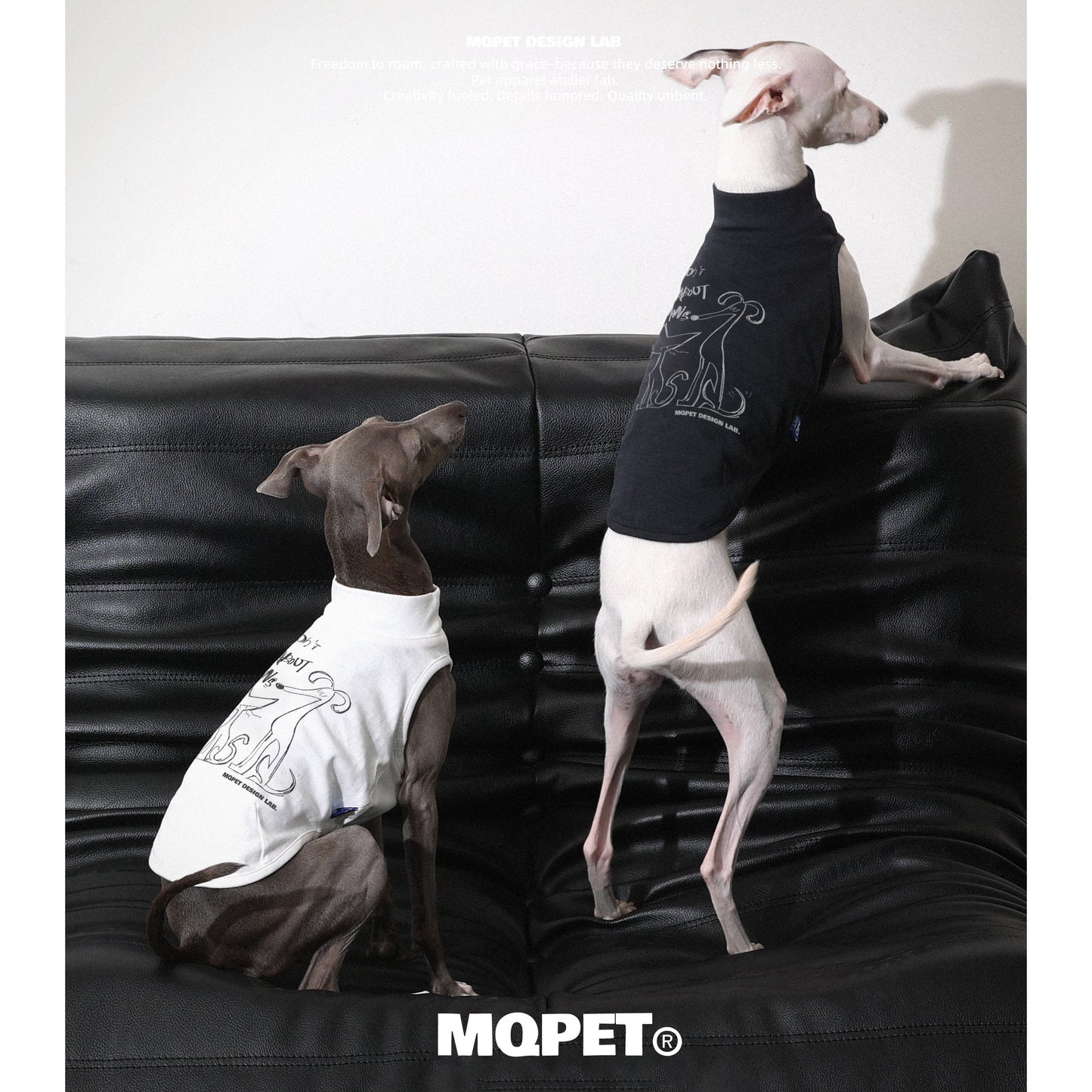 MQPET Original Graffiti Slub Cotton Matching Pet Vest