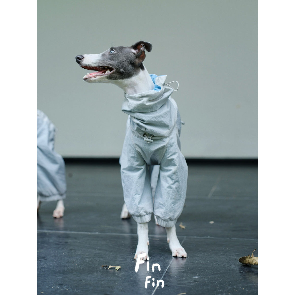 Reversible Dog Water Repellent Four-Legged Jacket