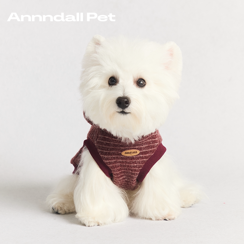 andall Matching Dog Sweatshirt