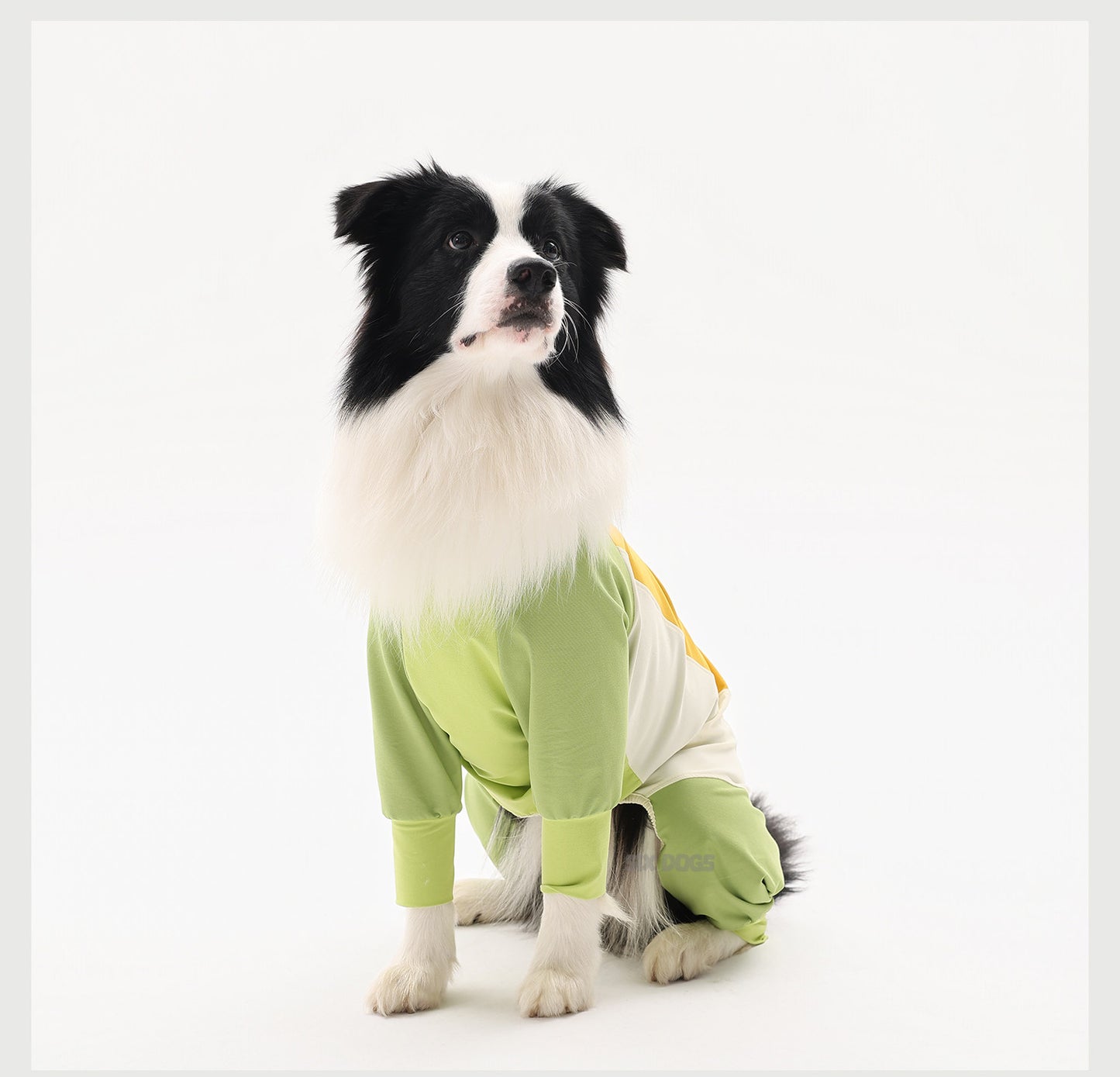 Lightweight Waterproof Dog Raincoat Jumpsuit