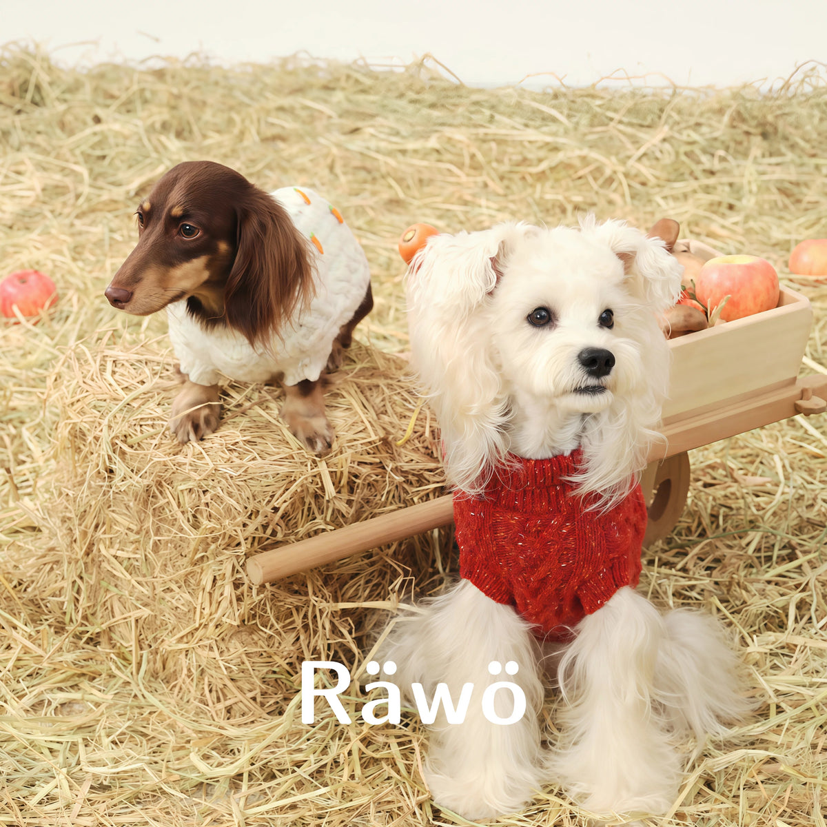 Handmade Wool Dog Sweaters Vest for Christmas New Year
