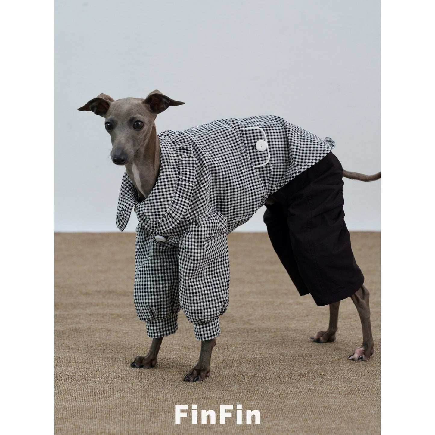 Linen Peter Pan Collar Pet Shirt