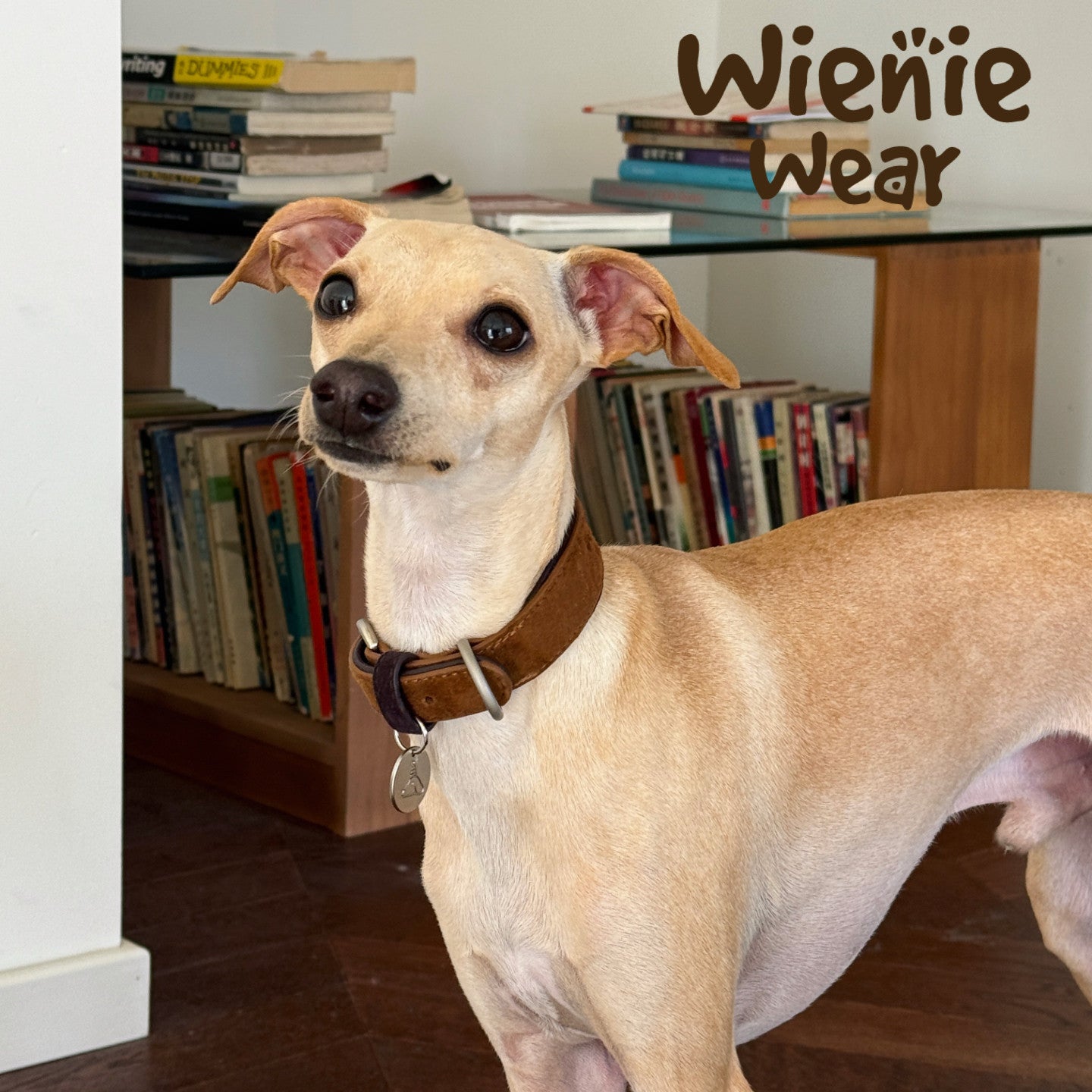 wienie wear Vintage Suede Leather Collar
