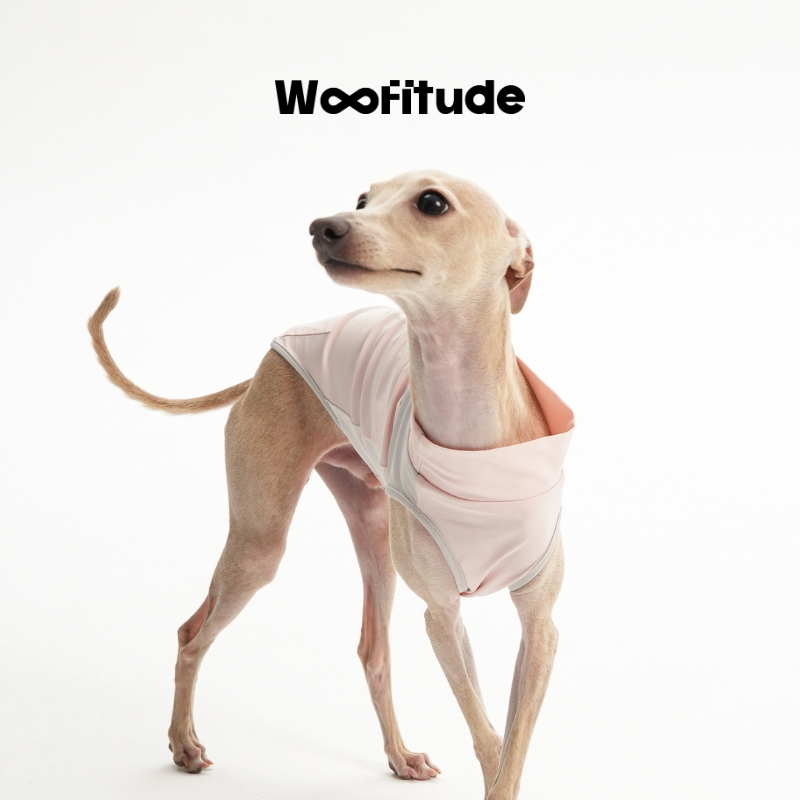 Woofitude UV-Protective Cooling Vest UPF50+
