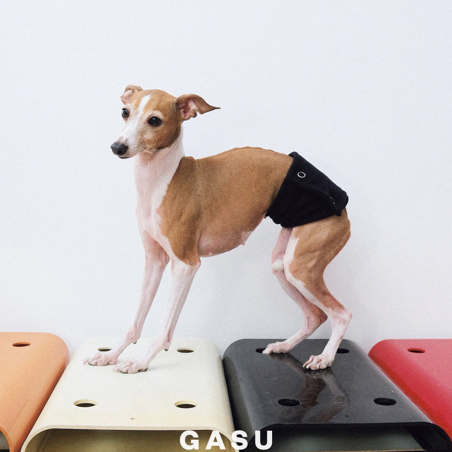 GASU Entourer Anti-Static Pet Belly Wrap