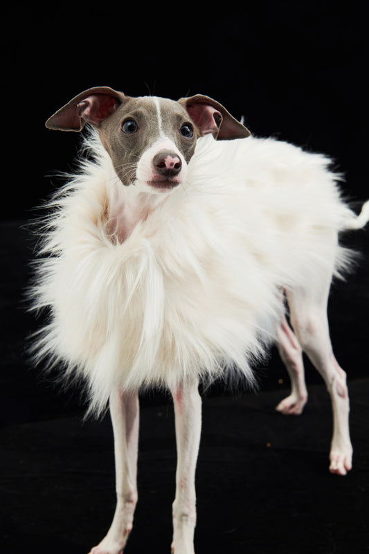 Faux Fur Dog Cape