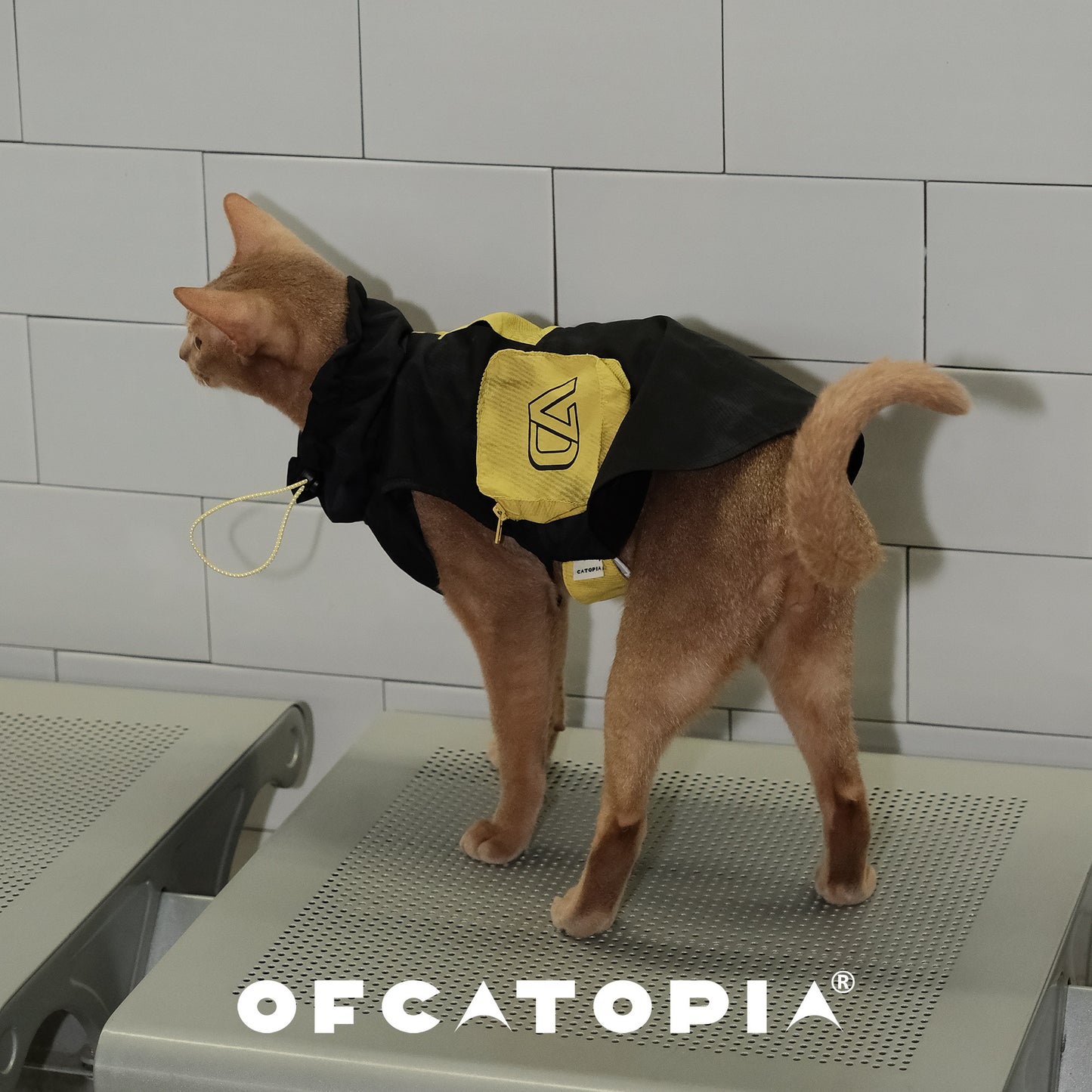 OfCATOPIA Yellow-Black Lightweight Sun Jacket