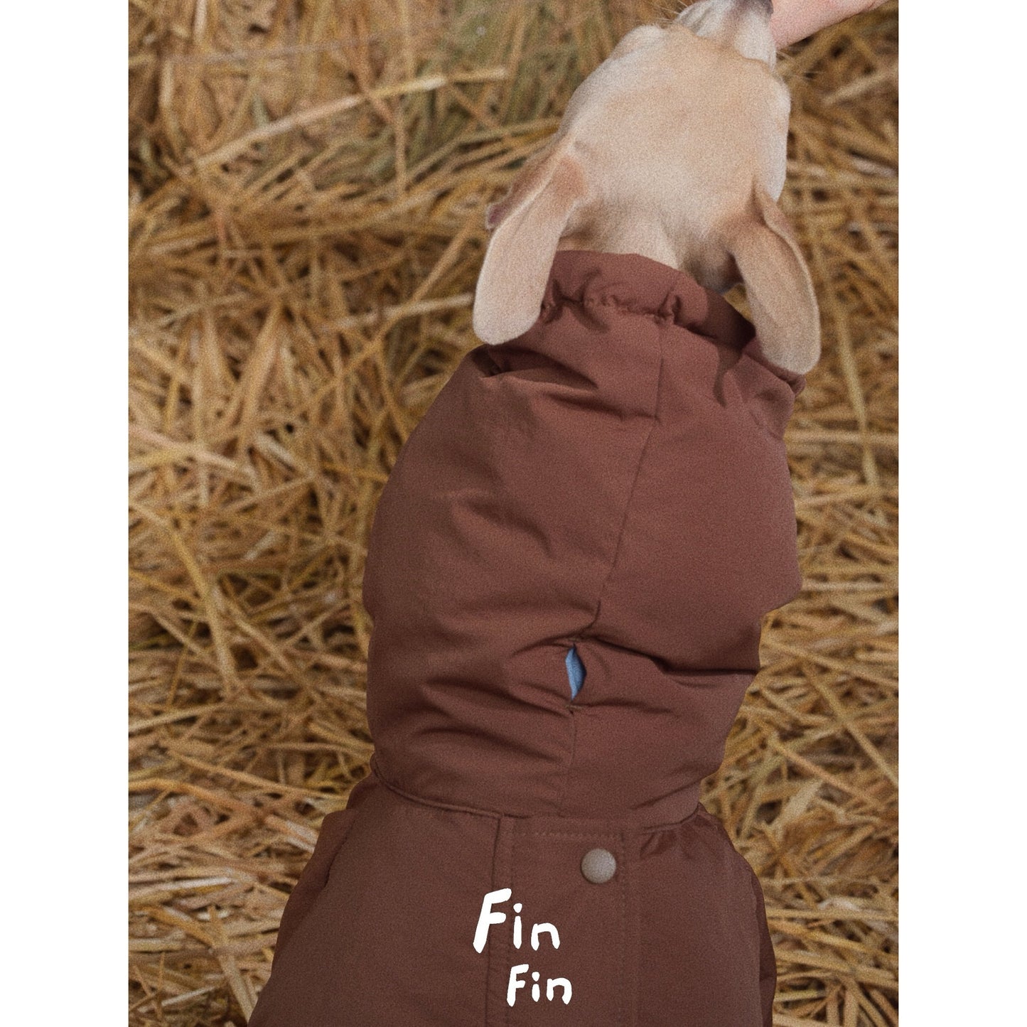FinFin Reversible Pet Down Jacket