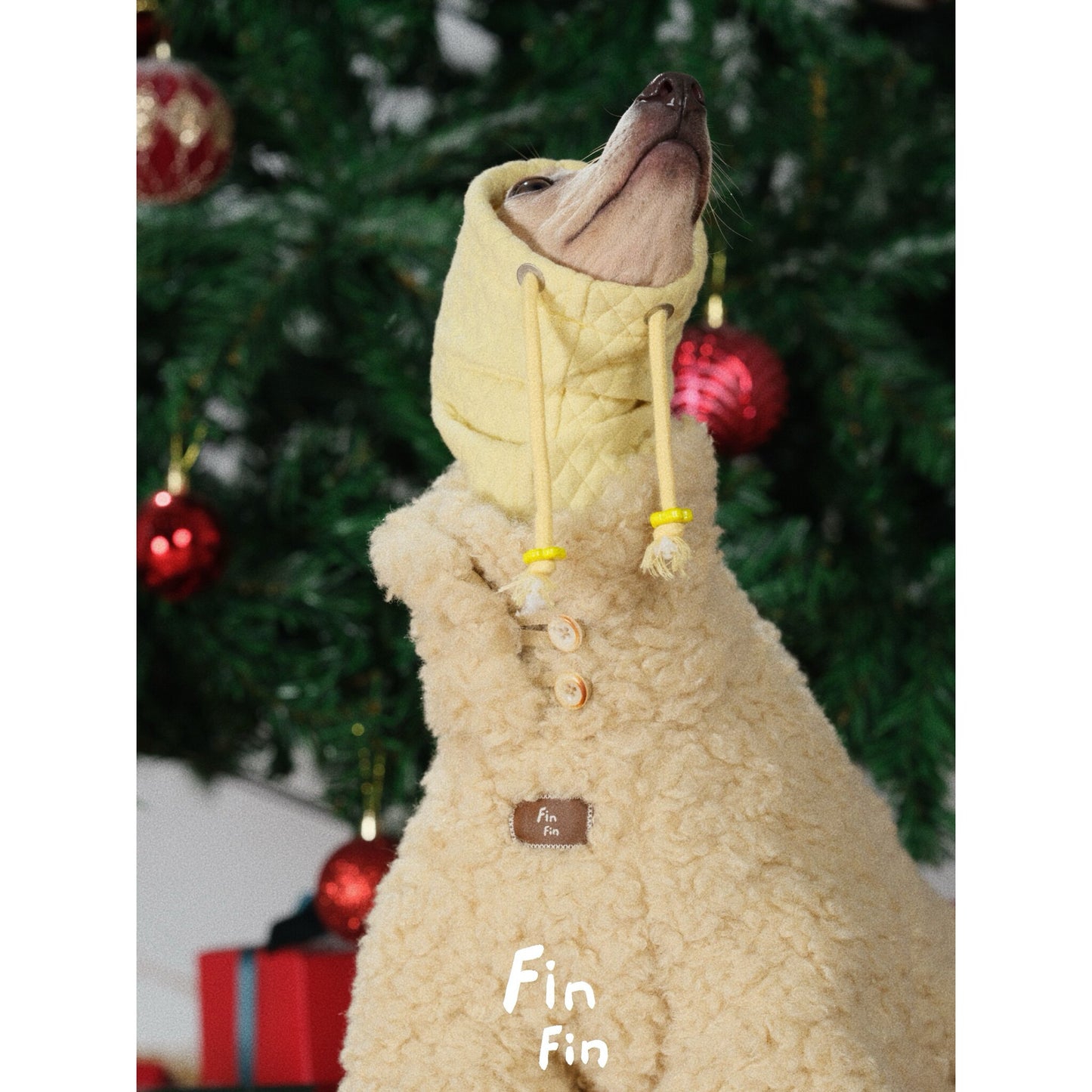"Bread Crumb" Reversible Pet Windbreaker