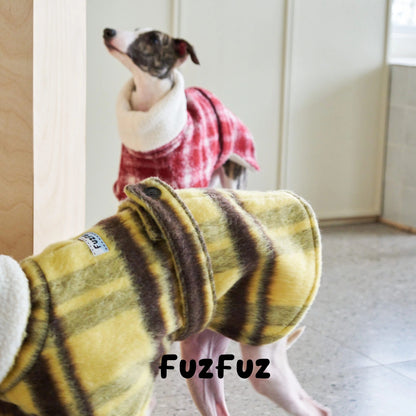 Close view of the plaid cape and stand collar