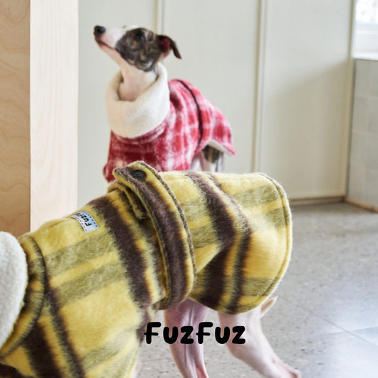 Close view of the plaid cape and stand collar