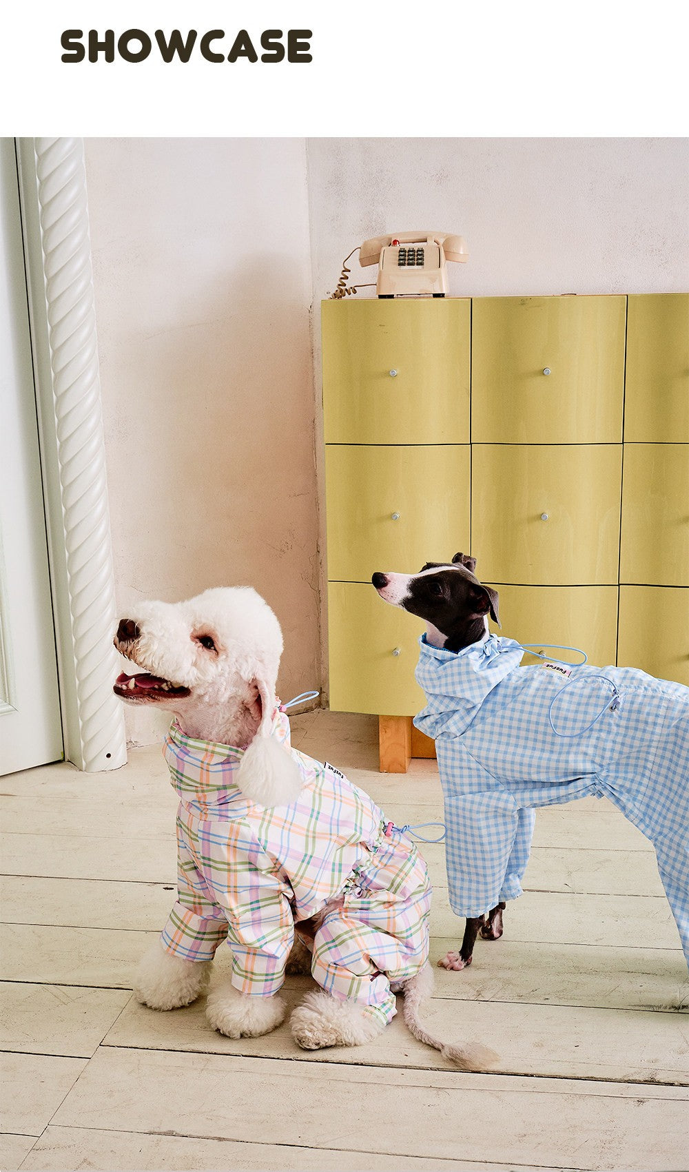 Showcase shot of the plaid coat on a small dog