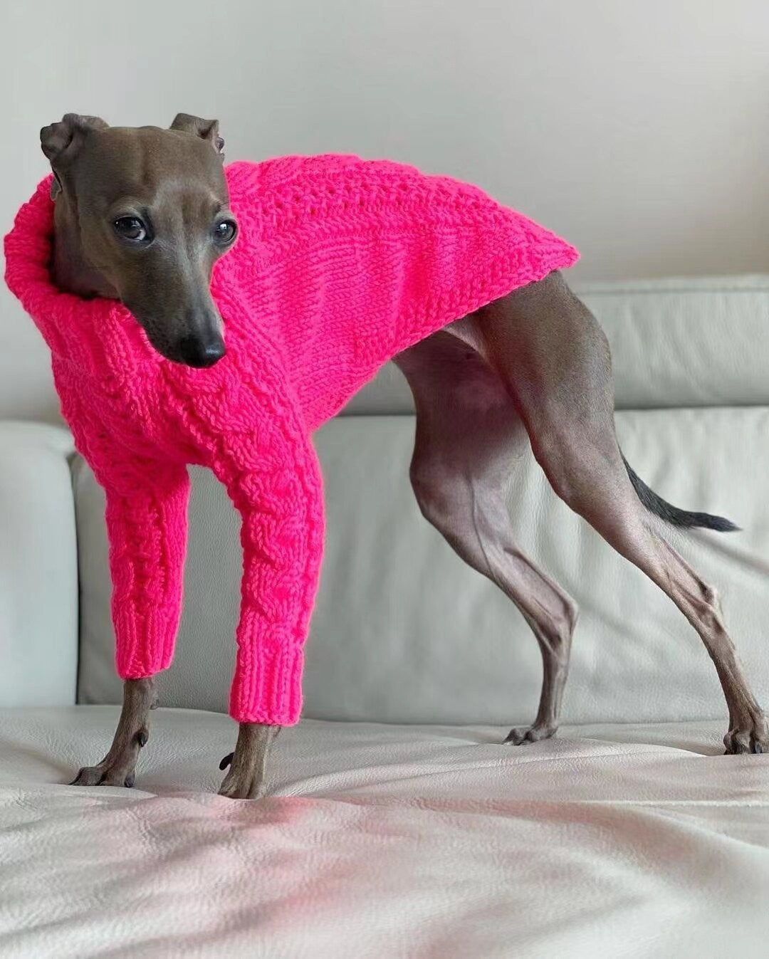 Solid Turtleneck Dog Sweater photo 6