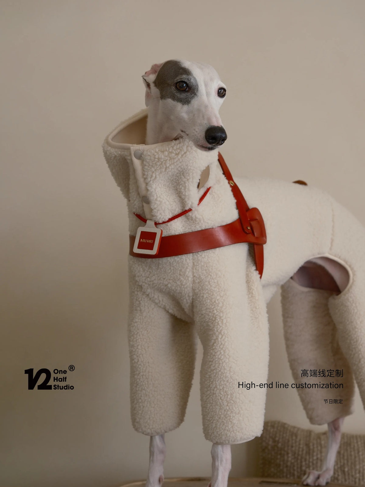 Shearling fleece four-leg dog onesie photo 6