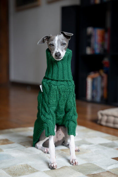 Dark Green Cable Knit Dog Sweater photo 6