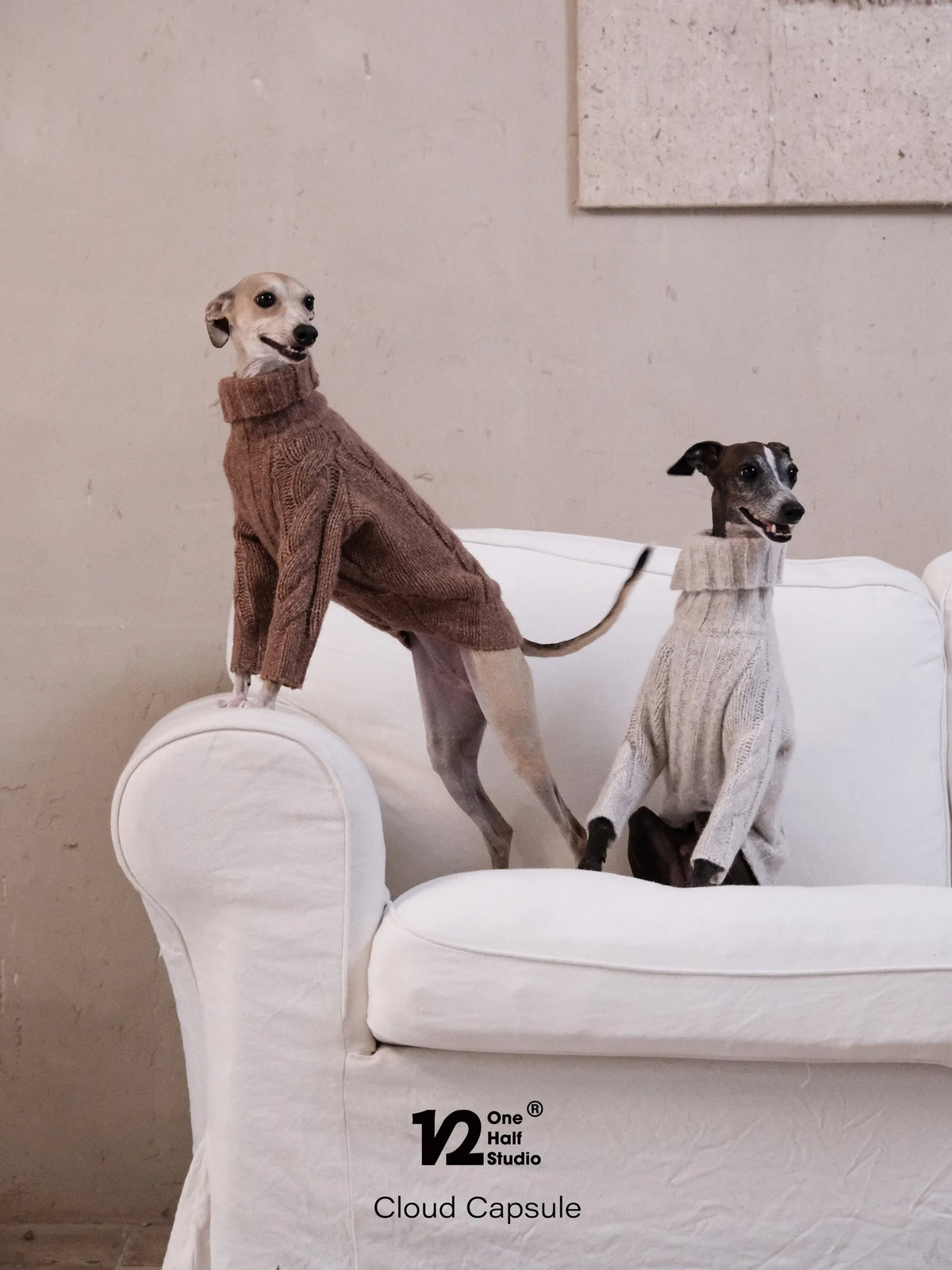 Two whippets in brown knit sweaters on a sofa