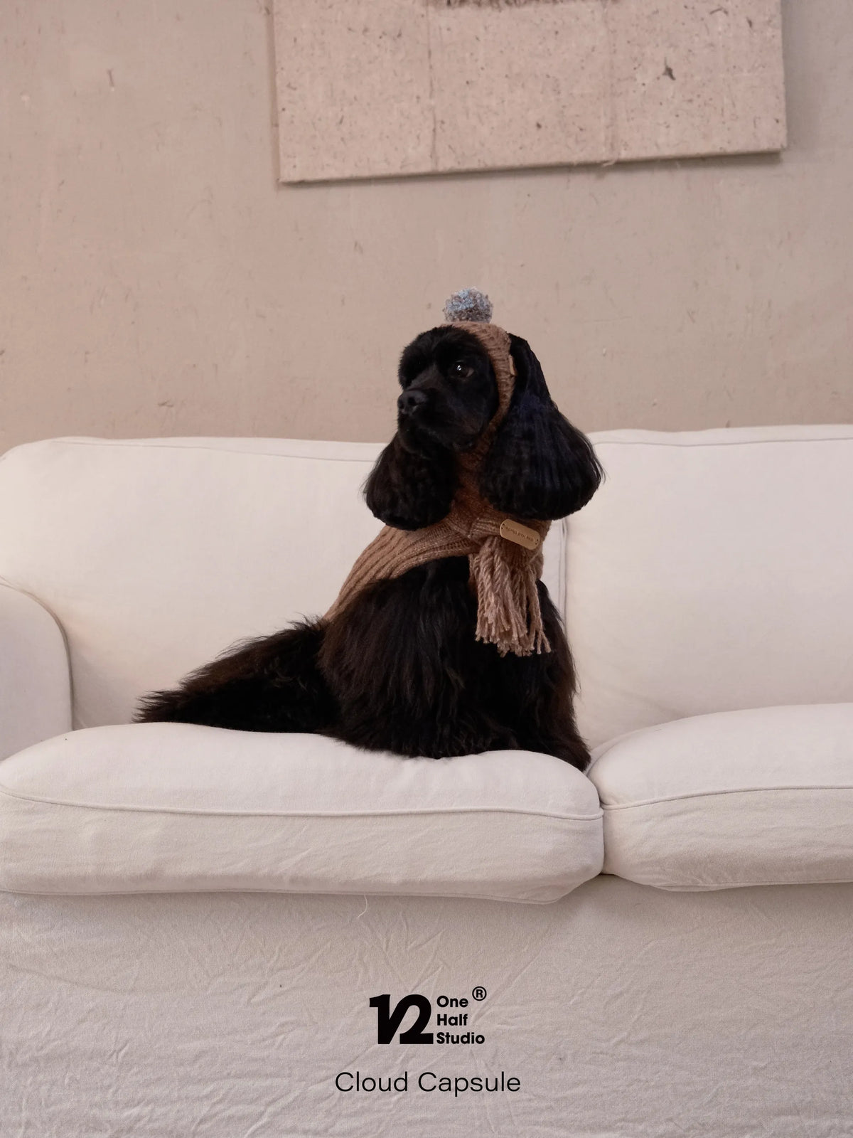 Black dog in a brown knit scarf on a sofa