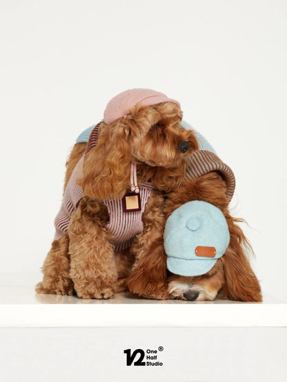 Poodle in a newsboy cap and knit sweater