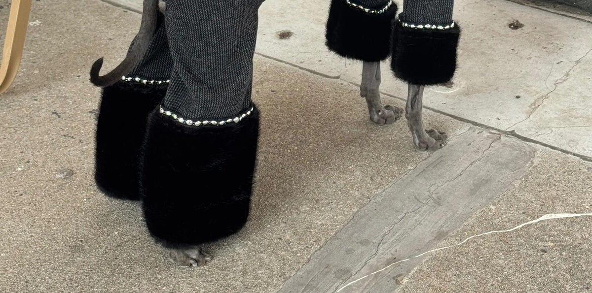 York Black Cashmere Touch Dog Onesie view 6