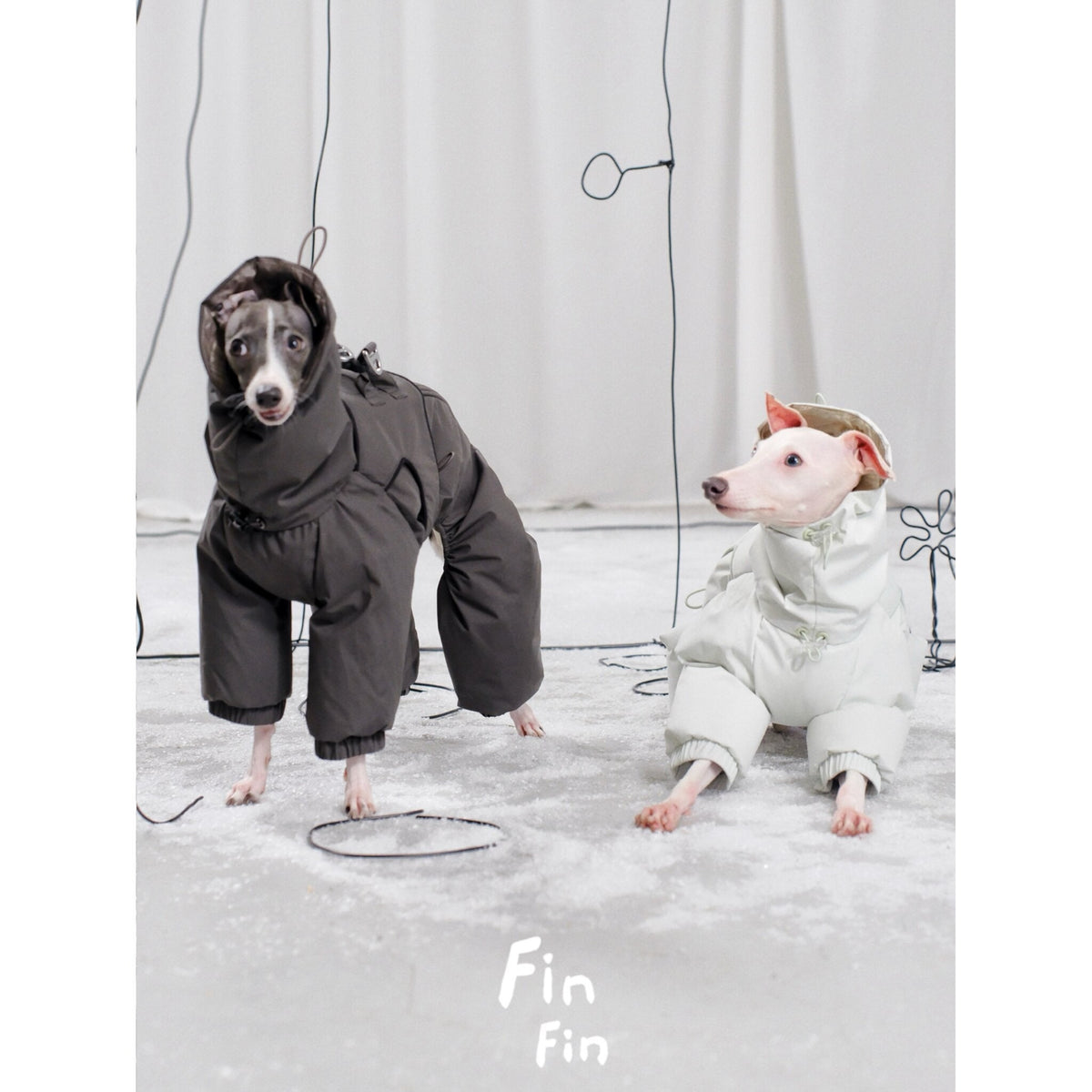 Down Dog Jacket with Built-In Harness photo 6