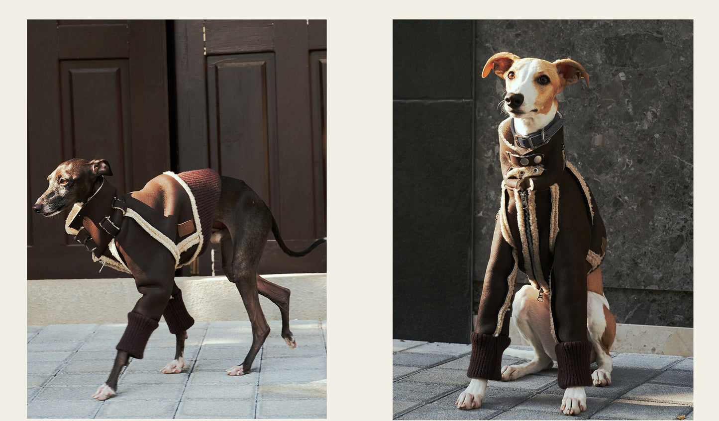 ARGOL Whippet British Winter Jacket