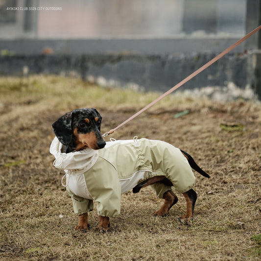 AYIKOKI Waterproof Windproof Dog Jacket