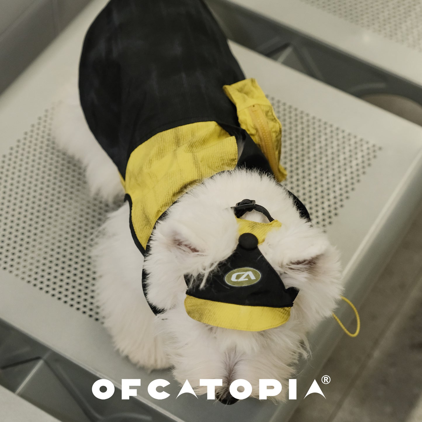 OfCATOPIA Yellow-Black Lightweight Sun Jacket