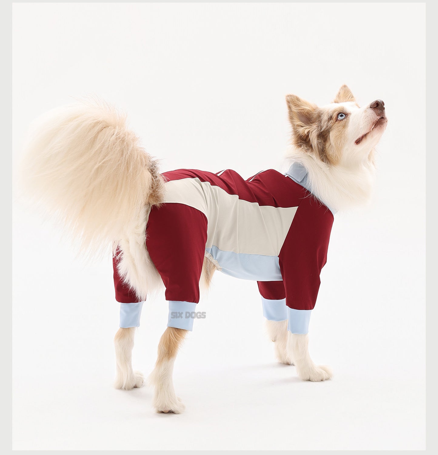 Lightweight Waterproof Dog Raincoat Jumpsuit