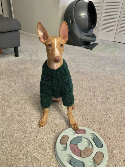 Custom Dog Sweaters Jumpsuit for Whippet Greyhound