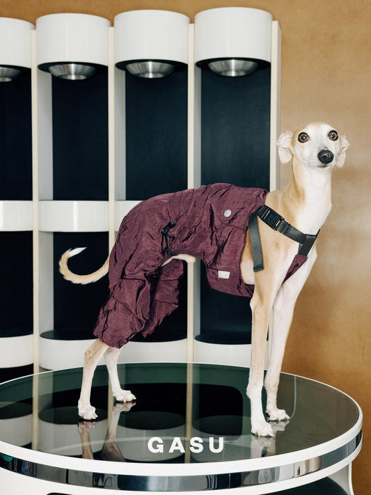 Lightweight Convertible Dog Overalls