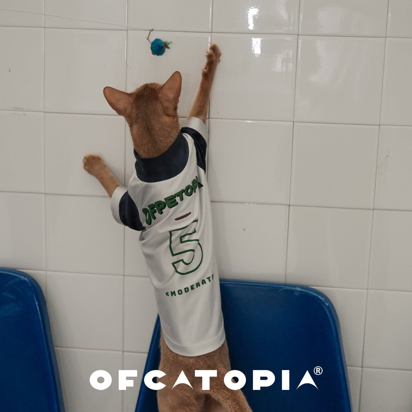 OfCATOPIA Silver-Green Retro Mesh Pet Tee