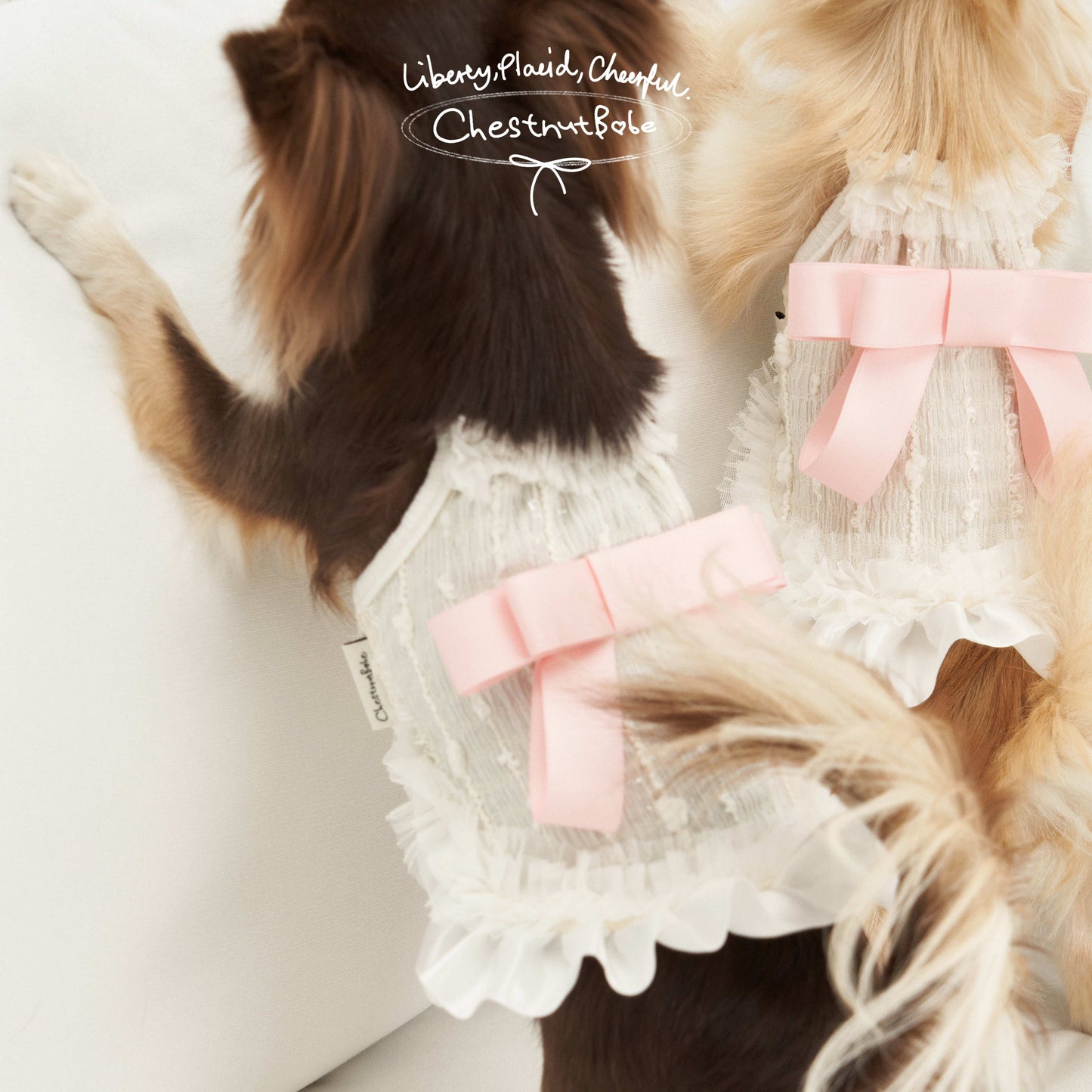 ChestnutBabe ButterSea Bow Strap Dress