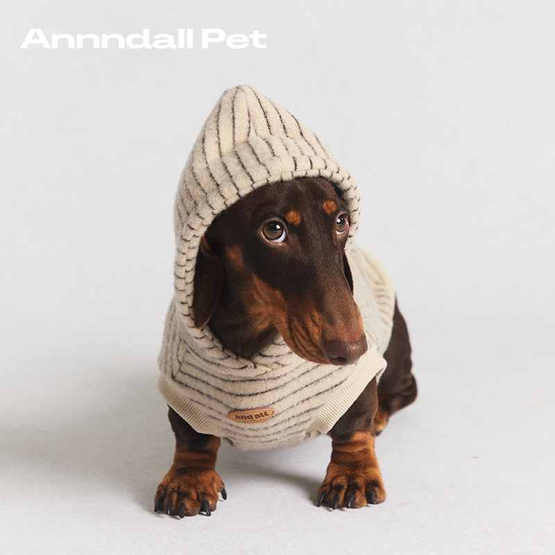 andall Matching Dog Sweatshirt