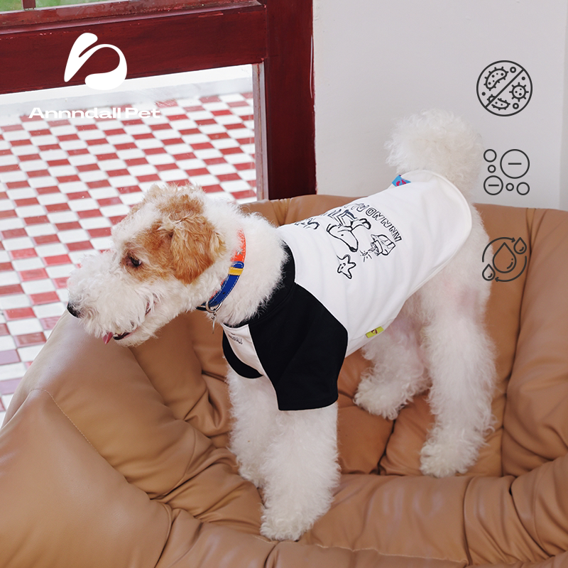 andall Spring Raglan T-Shirt for Dogs & Owners