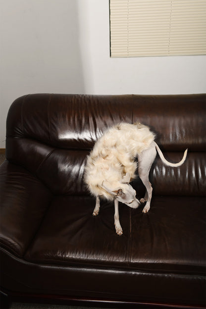 Faux Fur Drop Shoulder Dog Cape