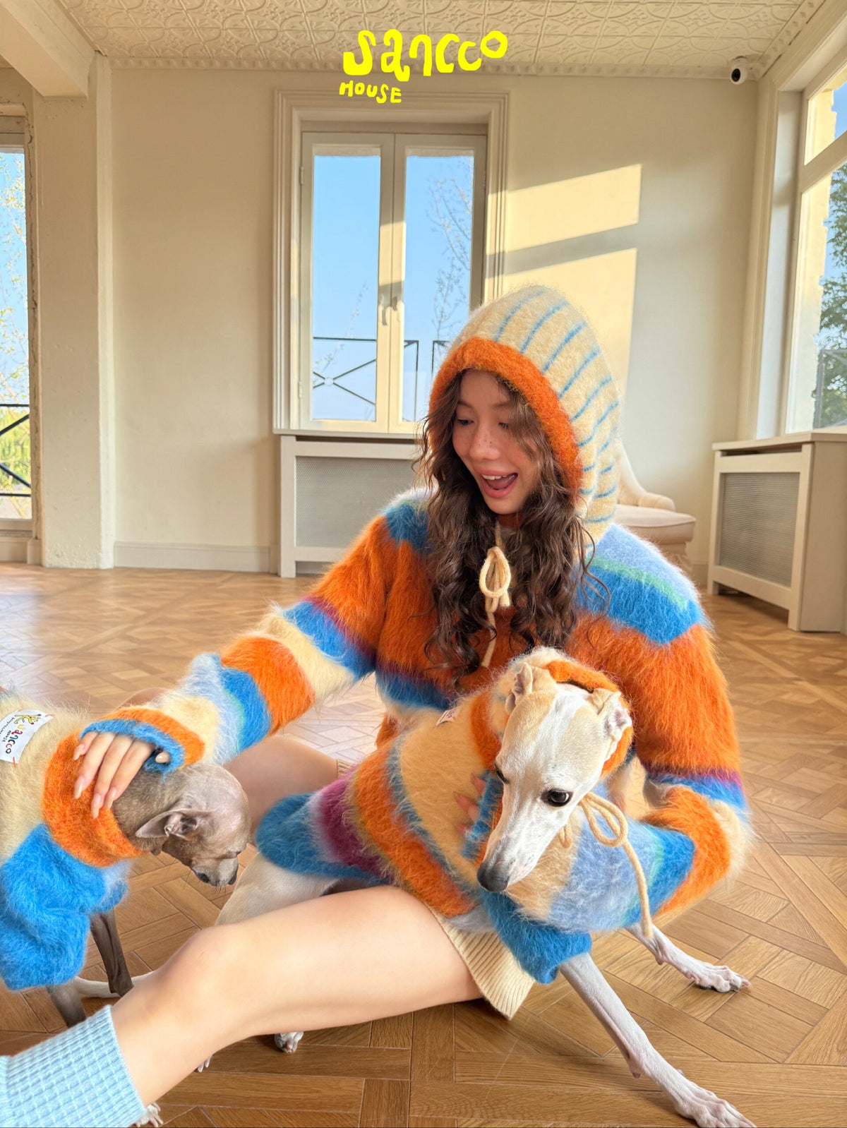 Whippet in a striped two-leg sweater on a wooden floor