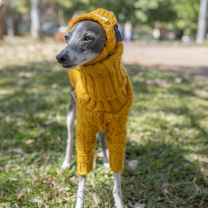 Yellow Hooded Knit Dog Sweater photo 7