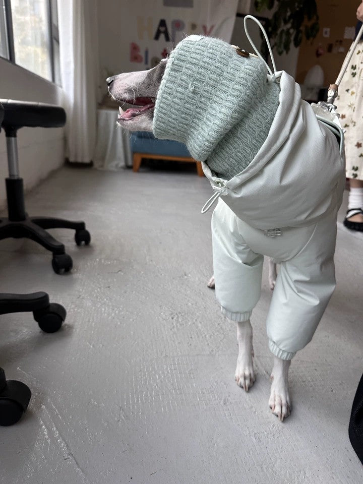 Knit Hood Snood for Dogs photo 7
