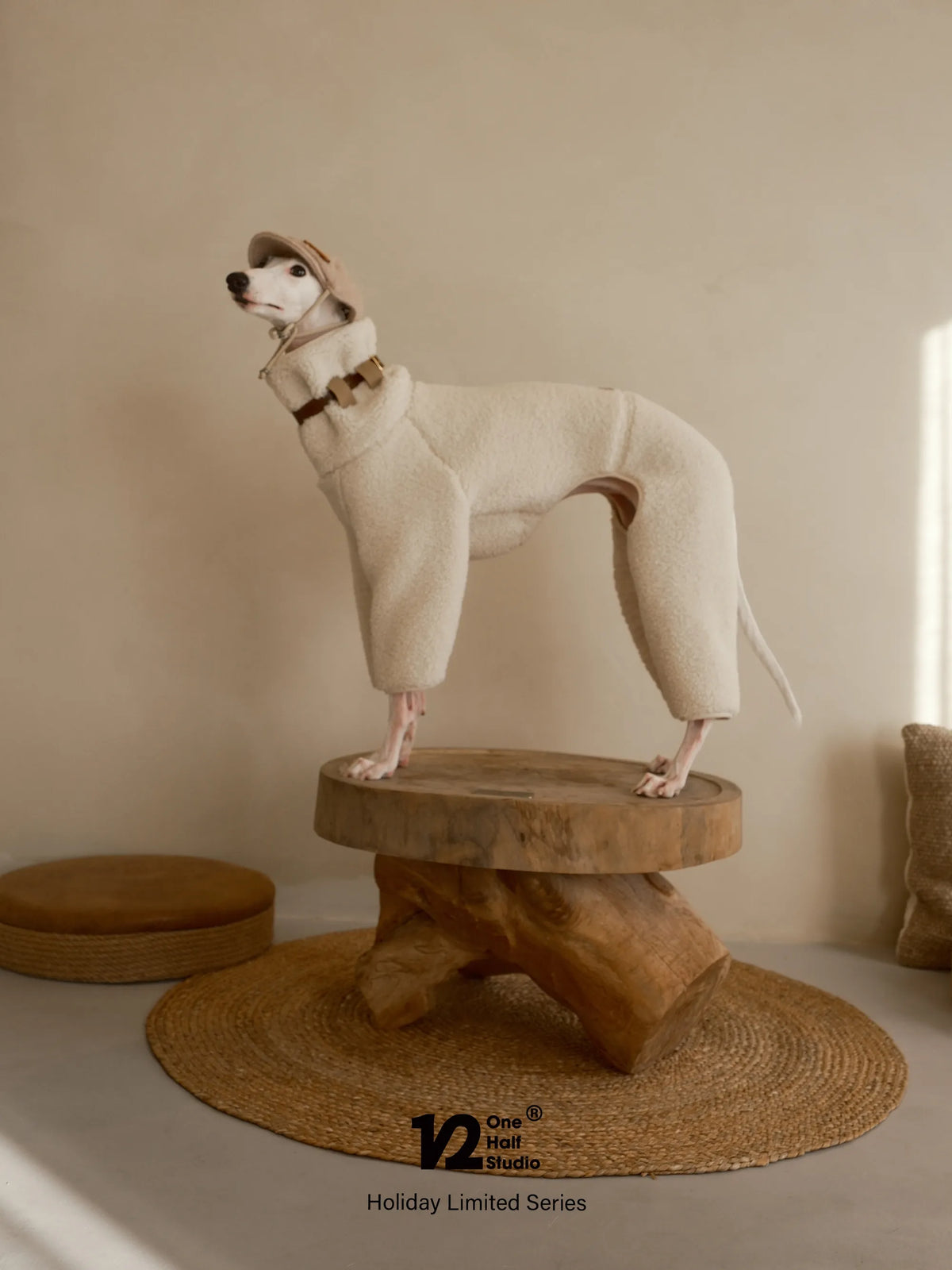 Whippet in a sherpa collar standing on a wooden stool