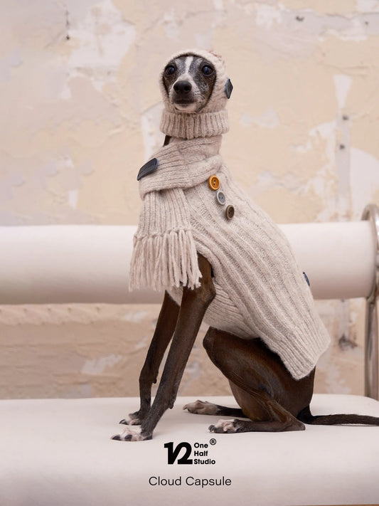 Cream knit wool texture on a dog