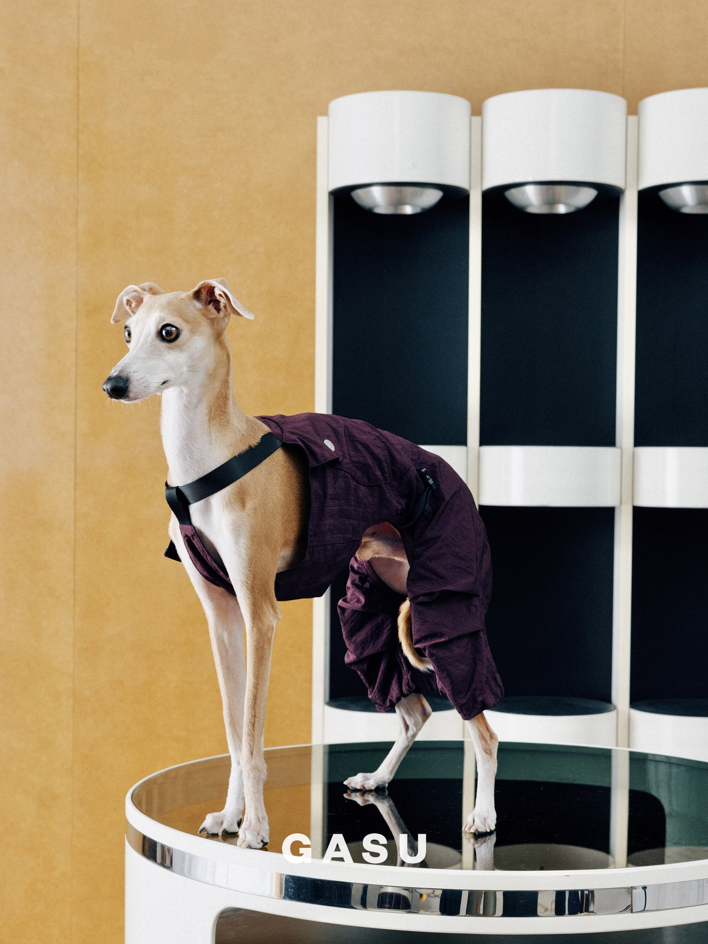 Lightweight Convertible Dog Overalls