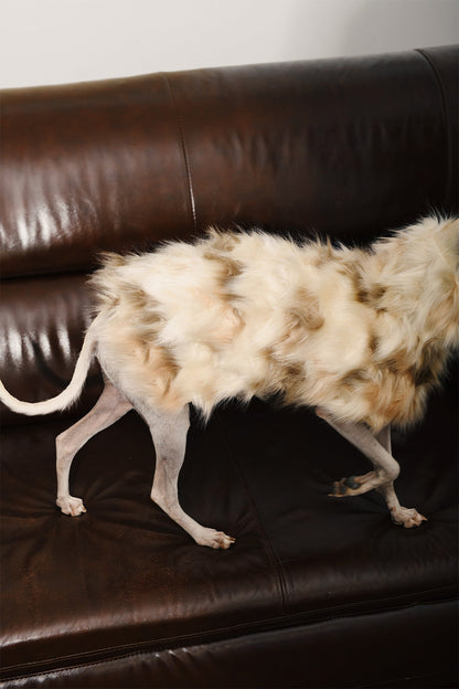 Faux Fur Drop Shoulder Dog Cape