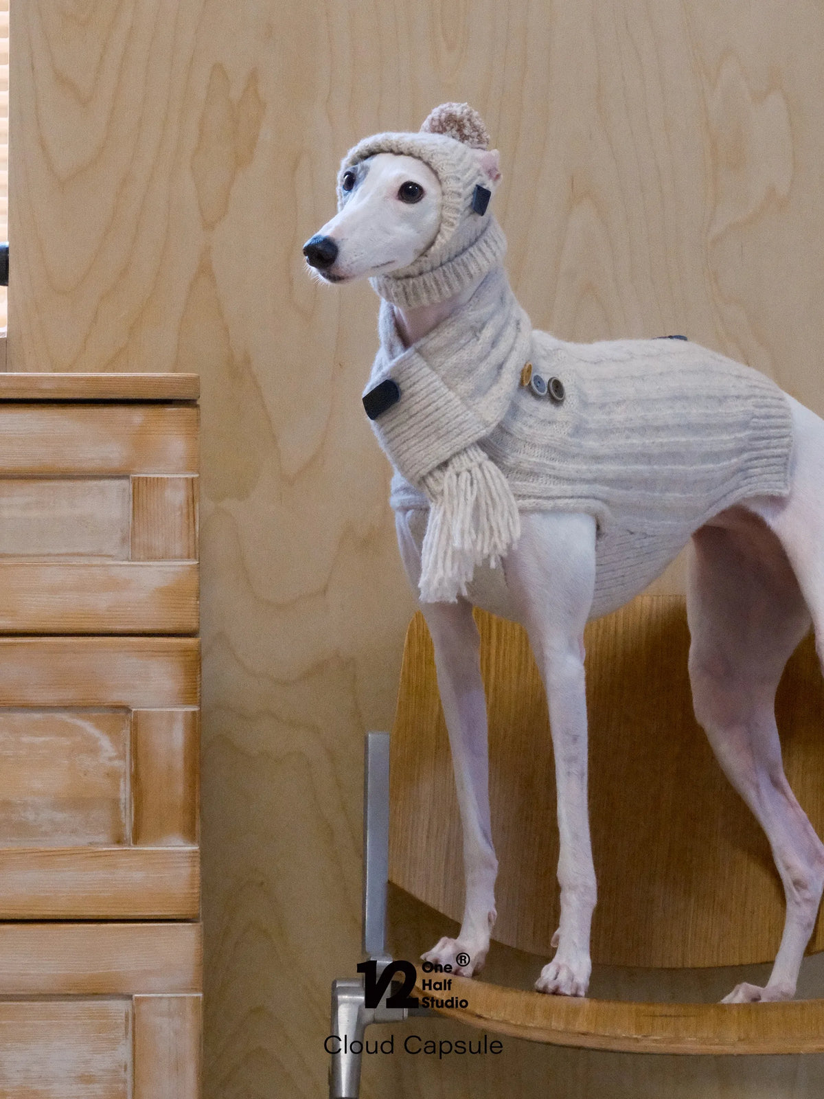 Whippet in a cream knit pom hat with a matching scarf
