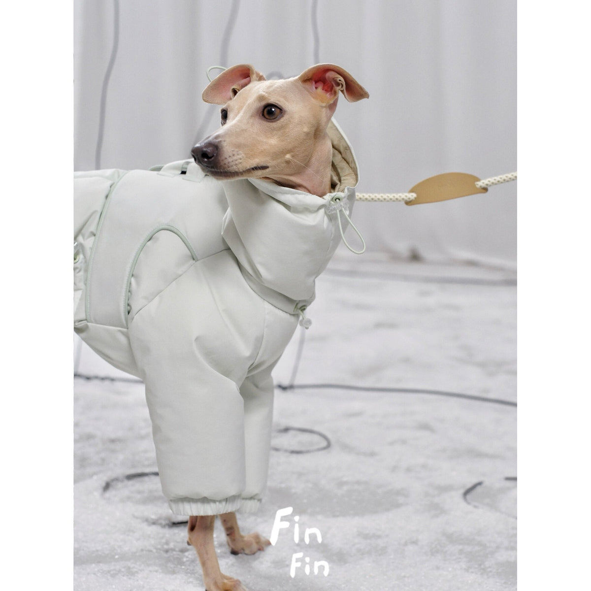 Down Dog Jacket with Built-In Harness photo 8