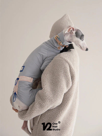 Whippet in a grey sun suit held by a person