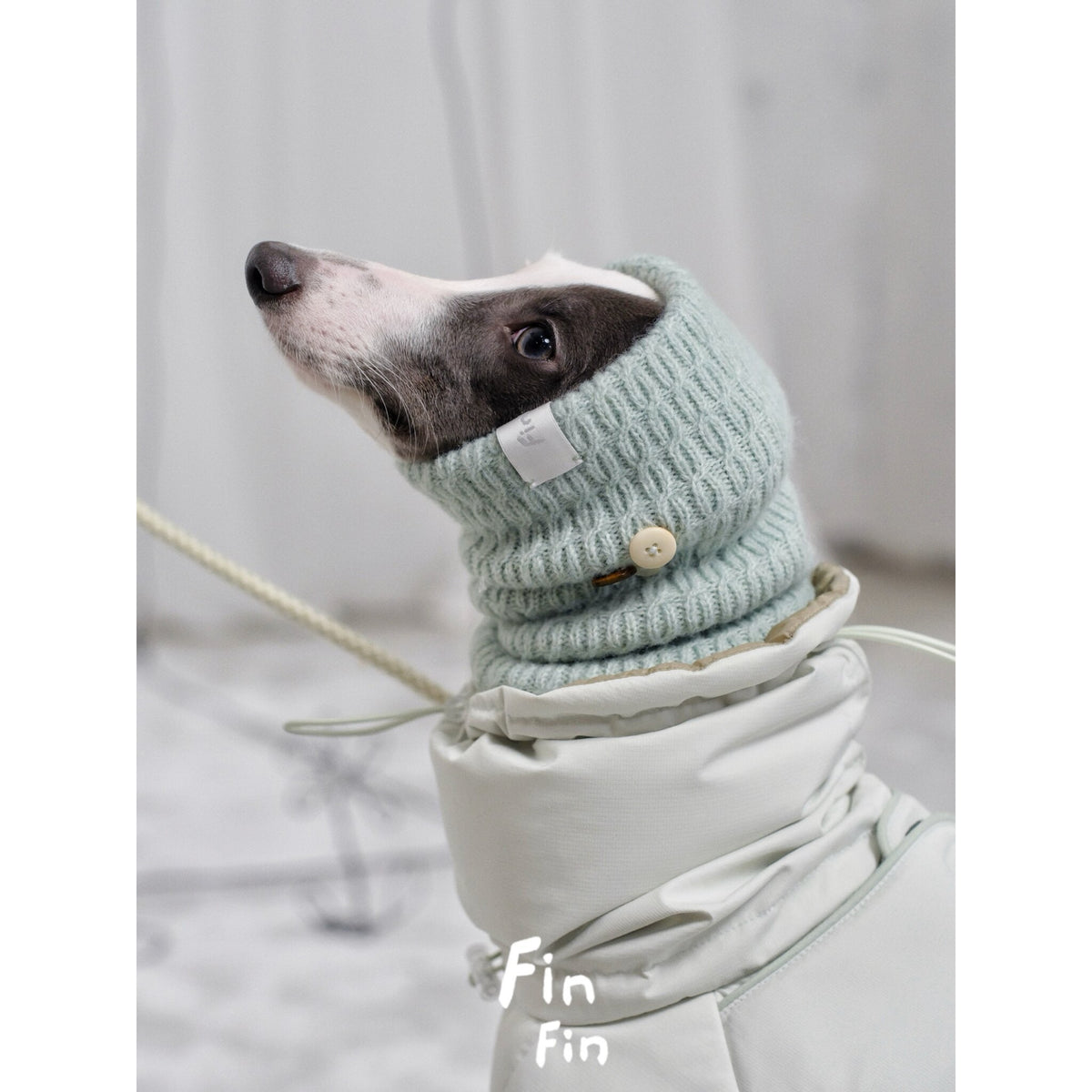 Knit Hood Snood for Dogs photo 8