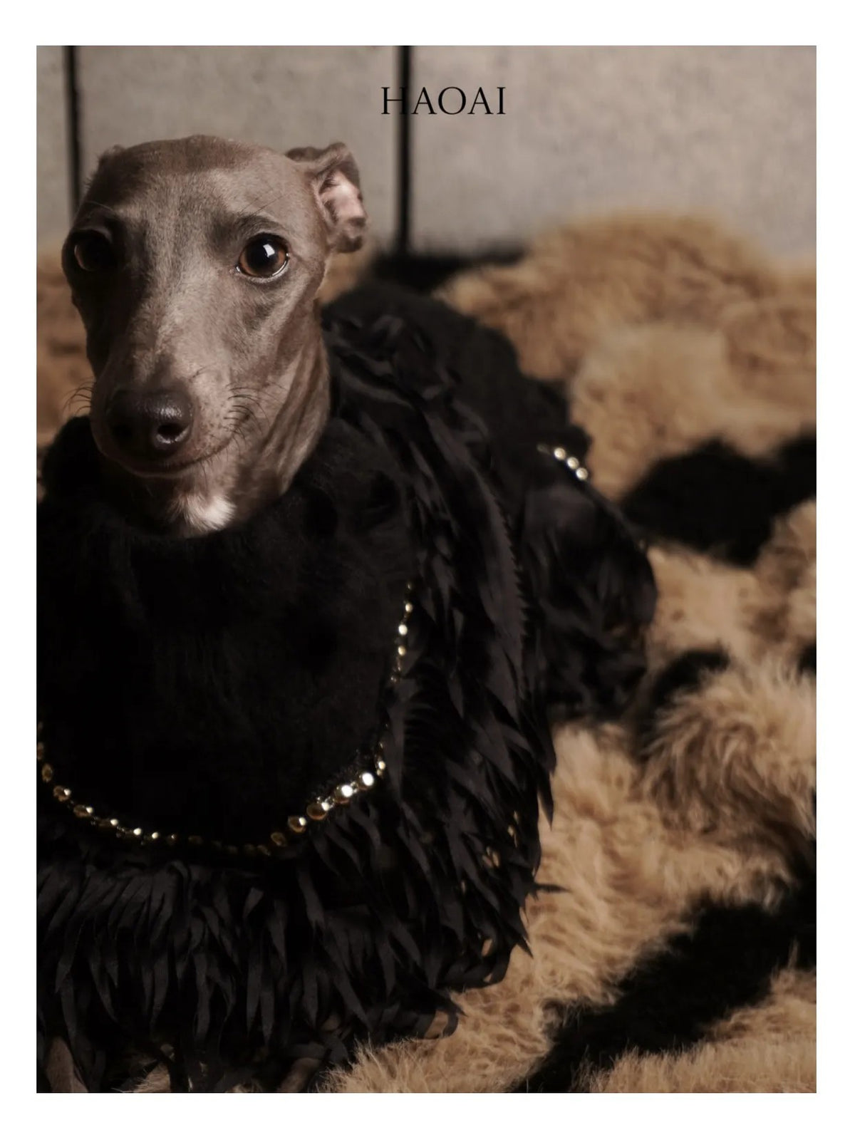 Black Mohair Look Open Knit Dog Onesie view 8