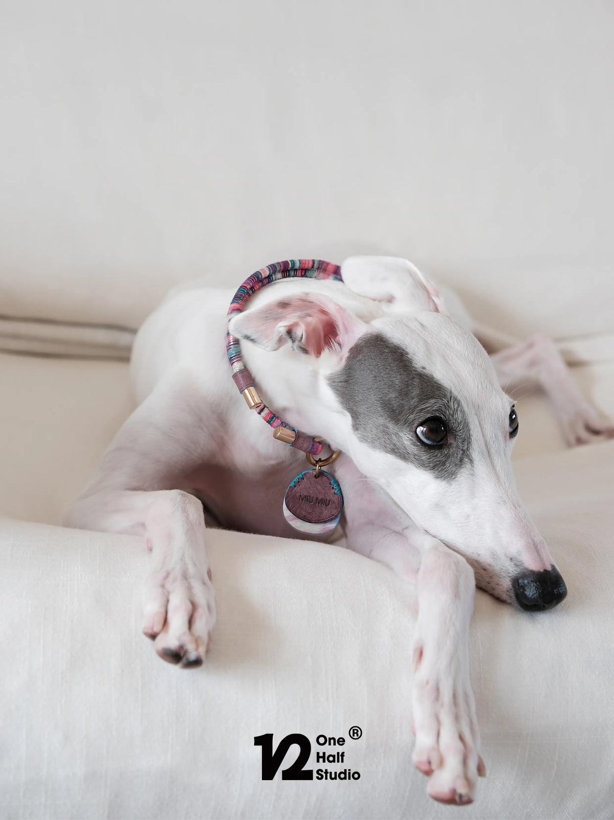 Whippet resting in a beaded collar with a heart shaped tag
