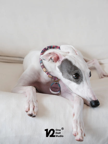 Whippet resting in a beaded collar with a heart shaped tag
